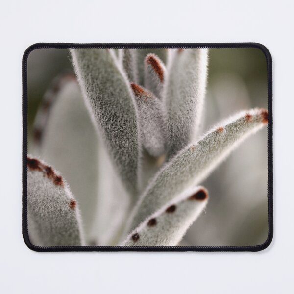 Item preview, Fuzzy Green Panda Plant Succulent designed and sold by FeatherfallSTU.