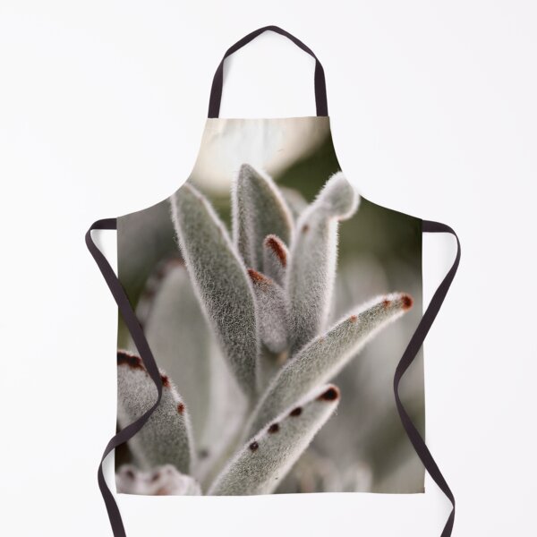 Item preview, Fuzzy Green Panda Plant Succulent designed and sold by FeatherfallSTU.