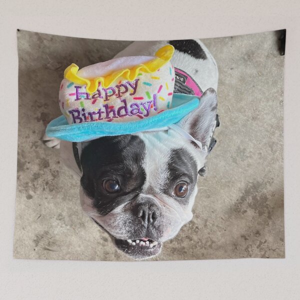Item preview, French Bulldog Happy Birthday designed and sold by SpikeWear.