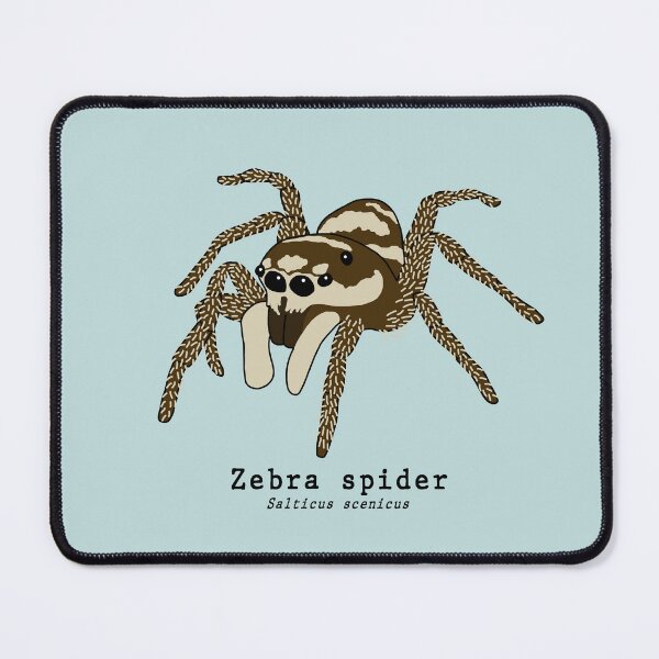 Item preview, Zebra spider (salticus scenicus) with scientific name designed and sold by taylorrowan.