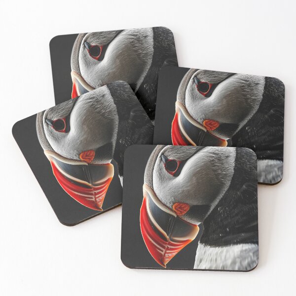 Item preview, Puffin up close designed and sold by Brendon987.