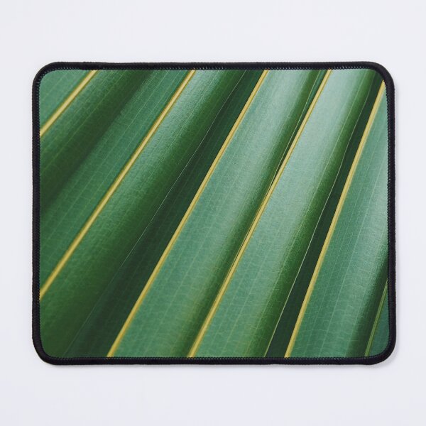 Item preview, Coconut leaf designed and sold by FLATVAC STICKER.