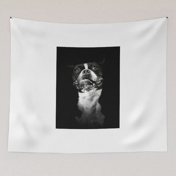 Item preview, Boston Terrier Queen designed and sold by Jack  Traynor.
