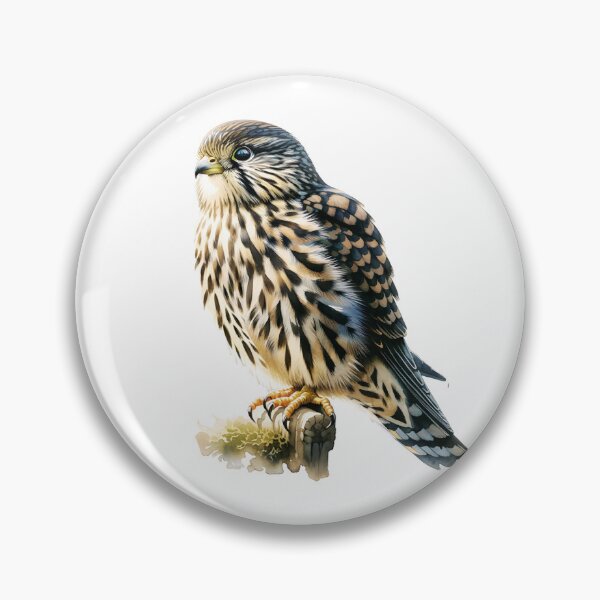Item preview, Merlin Bird designed and sold by TheAnimalZ00.