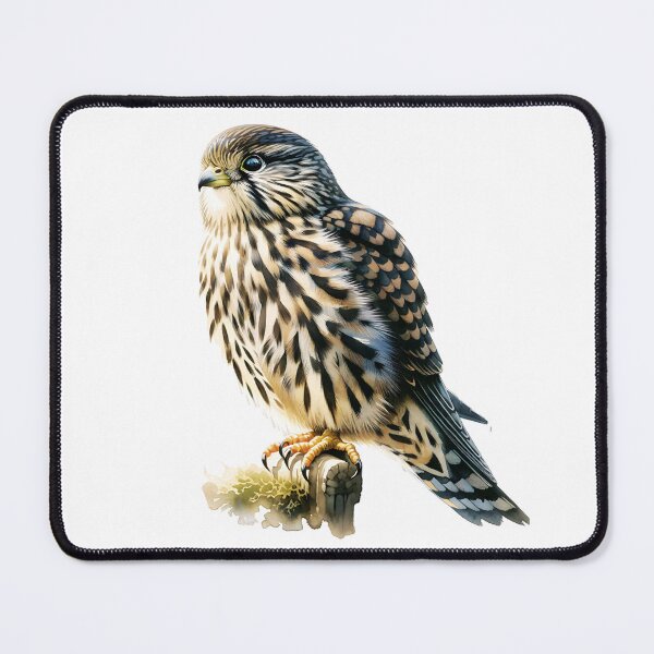 Item preview, Merlin Bird designed and sold by TheAnimalZ00.