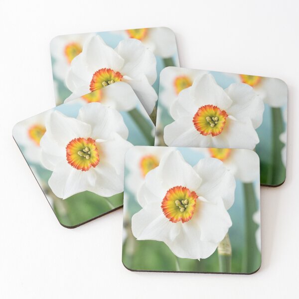 Item preview, Narcissus  'Felindre'    Div.  9 Poeticus  Daffodil designed and sold by Chris Burrows.