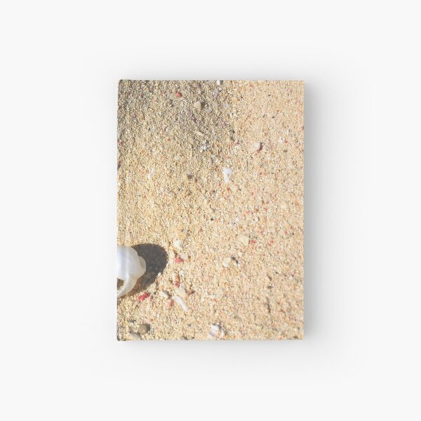 Item preview, Shell in the Sand  designed and sold by Jennifer  Sweeney.