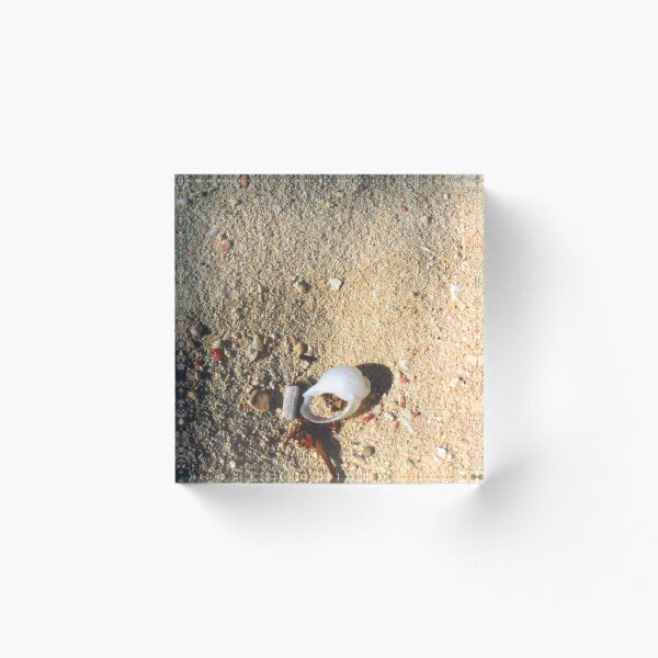 Item preview, Shell in the Sand  designed and sold by Jennifer  Sweeney.