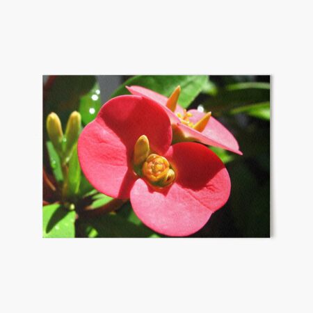 Red Flowers Art Board Print
