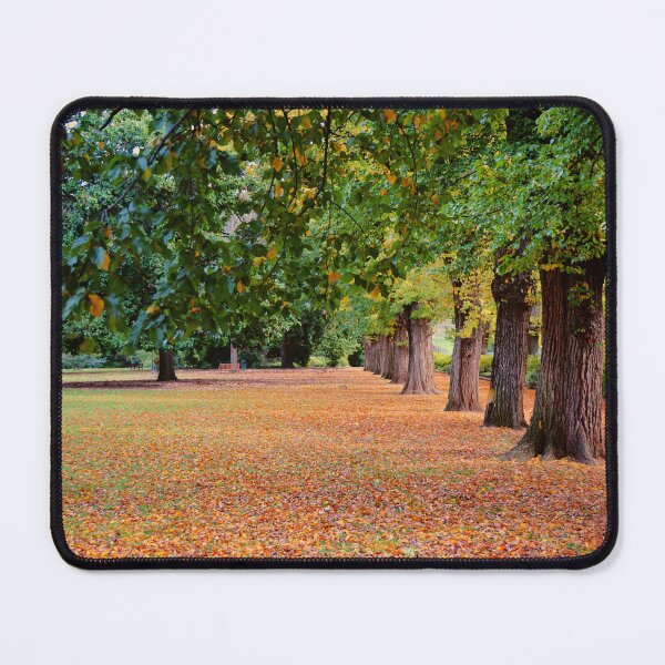 Item preview, Elms Avenue  designed and sold by D-GaP.