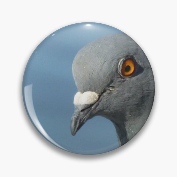 Item preview, Pigeon Close Up Photography designed and sold by taiche.