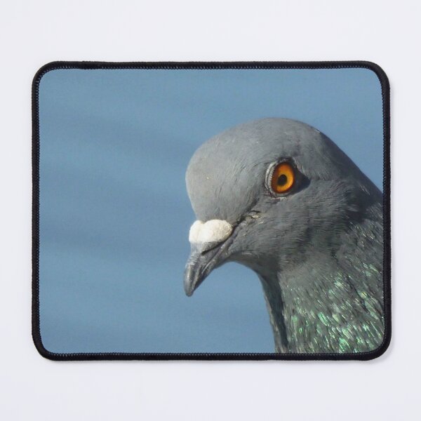 Item preview, Pigeon Close Up Photography designed and sold by taiche.