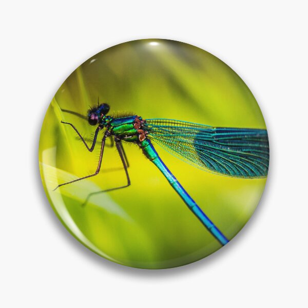 Item preview, Damselfly designed and sold by Mothboybrown.
