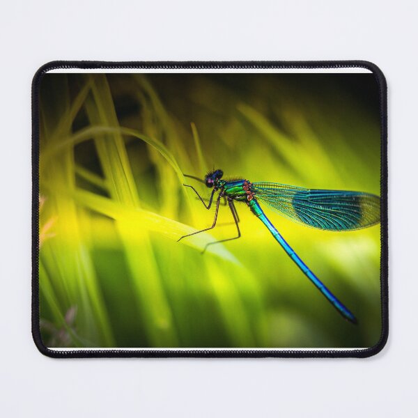 Item preview, Damselfly designed and sold by Mothboybrown.