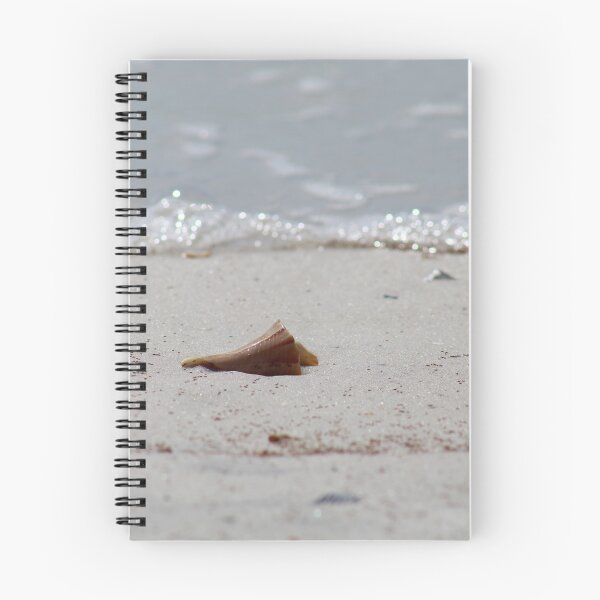 Item preview, Lonely Shell designed and sold by Emily Hermann.