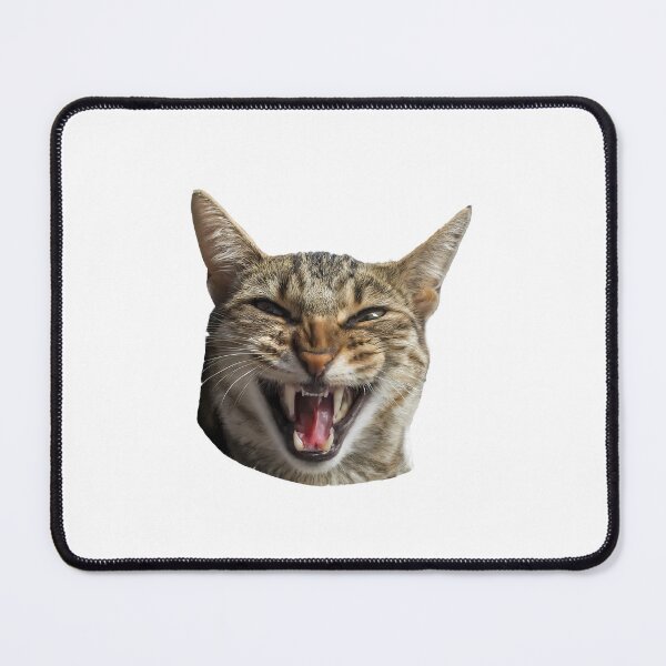 Item preview, Hilarious Cat Expressions - Funny Cat Faces for Cat Lovers designed and sold by hamishby.