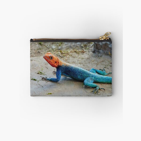 Item preview, Agama Lizard designed and sold by Eidetic Photos.