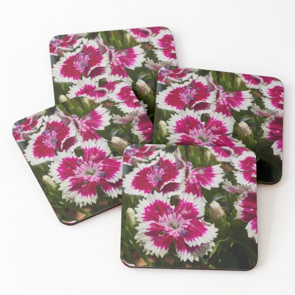 Item preview, Drenched Sweet William designed and sold by Eidetic Photos.