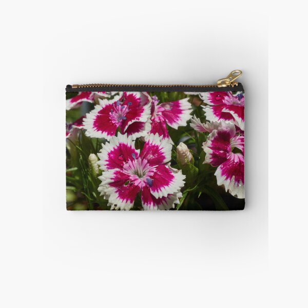 Item preview, Drenched Sweet William designed and sold by Eidetic Photos.