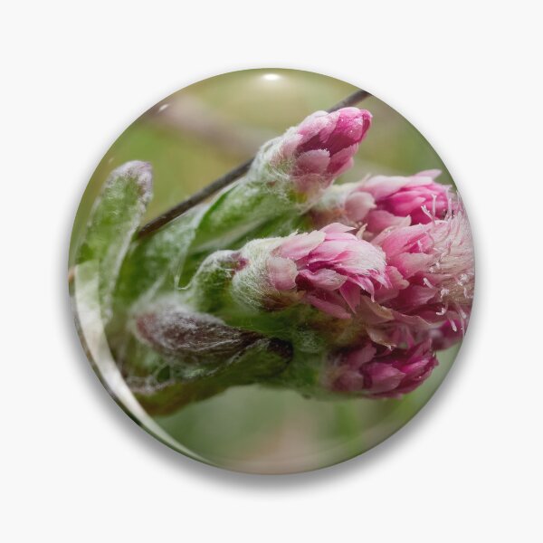 Item preview, Pending. Mountain everlasting designed and sold by Jouko Lehto Photography.