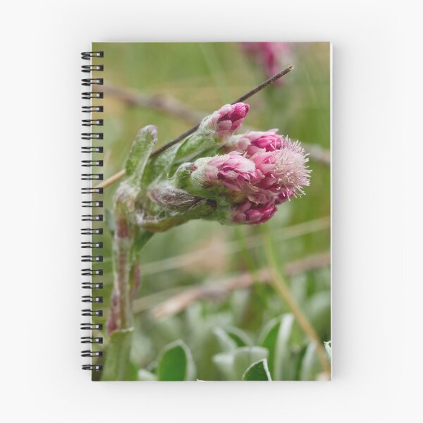 Item preview, Pending. Mountain everlasting designed and sold by Jouko Lehto Photography.