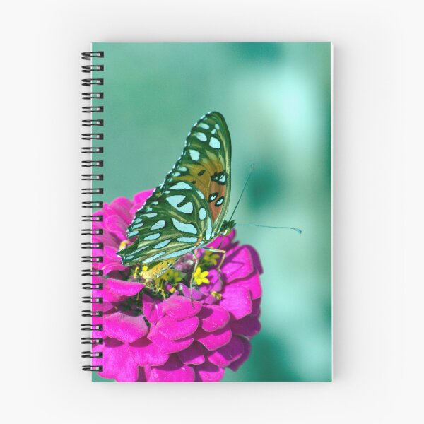 Item preview, Gulf Fritilarry Butterfly  designed and sold by MercerImages.