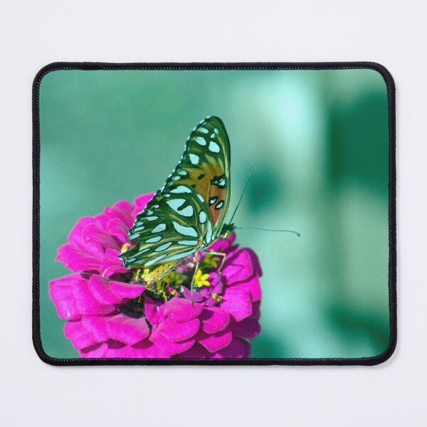 Item preview, Gulf Fritilarry Butterfly  designed and sold by MercerImages.