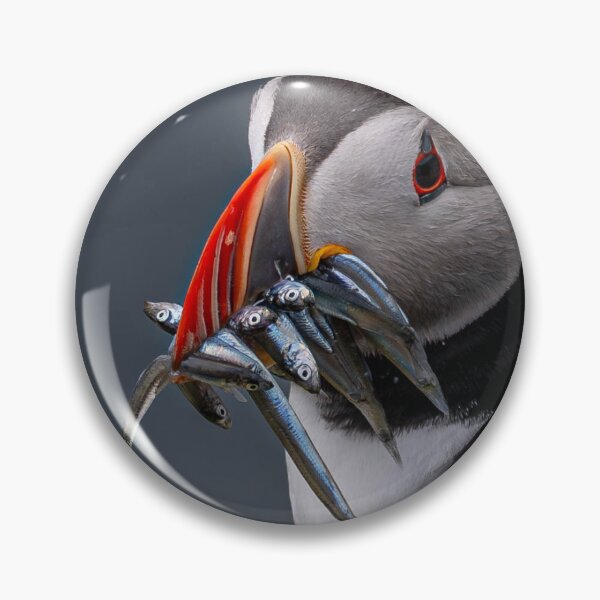 Item preview, Been fishing  designed and sold by Flyal4.