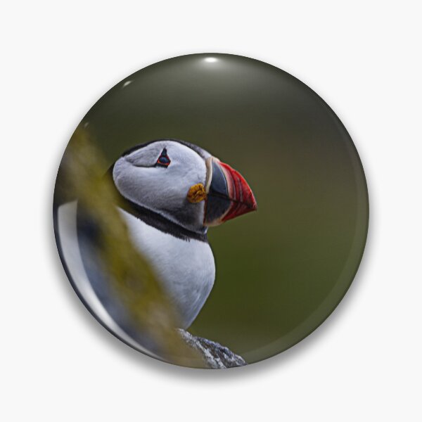Item preview, I can see you  designed and sold by Flyal4.