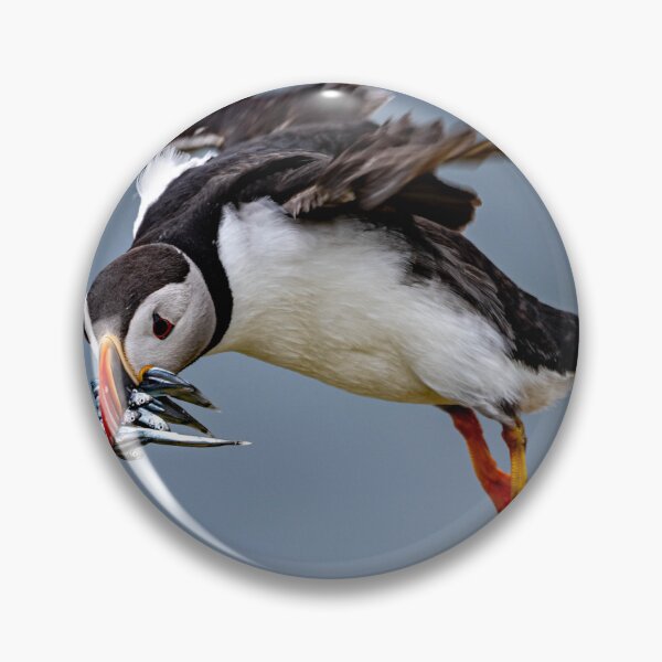 Item preview, Landing  designed and sold by Flyal4.