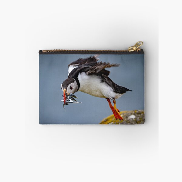 Item preview, Landing  designed and sold by Flyal4.