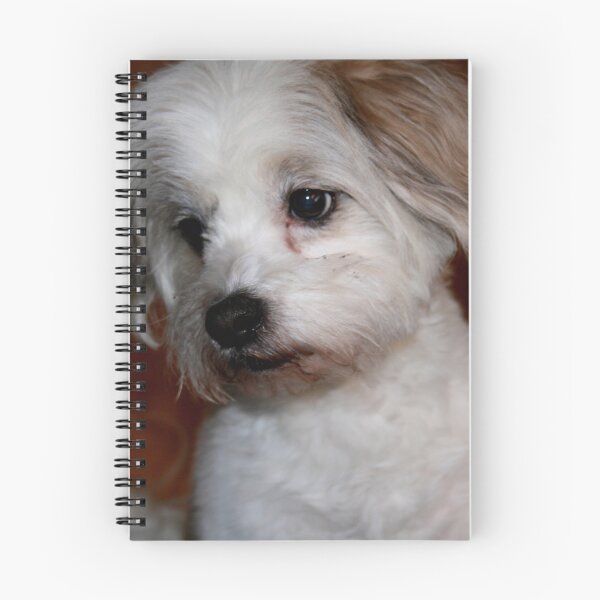 Item preview, Want to be my Friend!!! designed and sold by Larry Trupp.