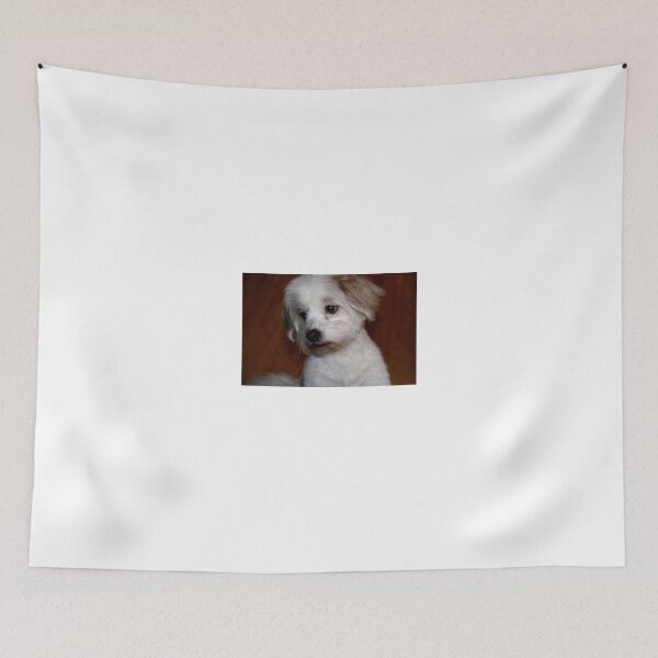 Item preview, Want to be my Friend!!! designed and sold by Larry Trupp.