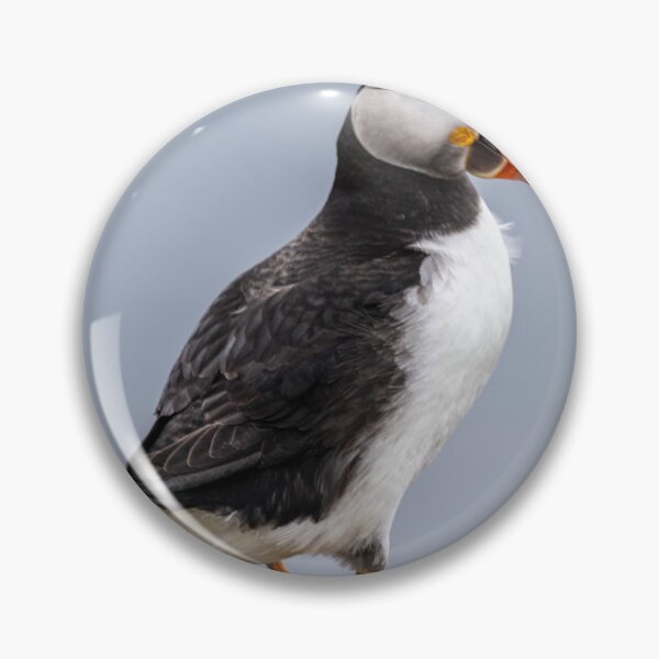 Item preview, Look at me designed and sold by Flyal4.