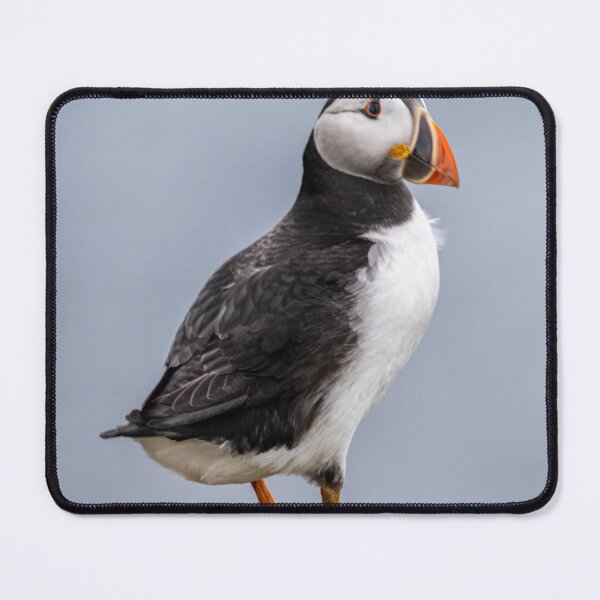 Item preview, Look at me designed and sold by Flyal4.