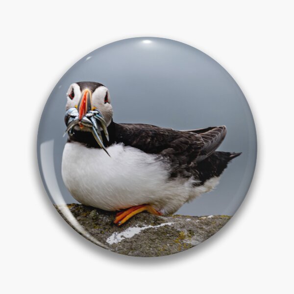 Item preview, Been fishing  designed and sold by Flyal4.