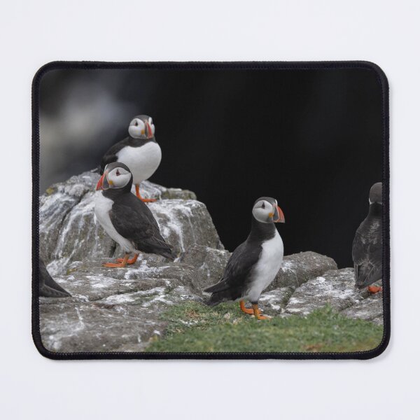 Item preview, The meeting  designed and sold by Flyal4.