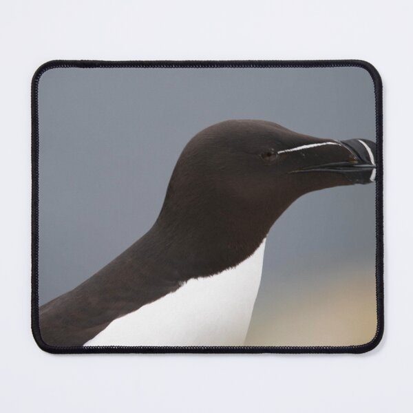 Item preview, Razorbill designed and sold by Flyal4.