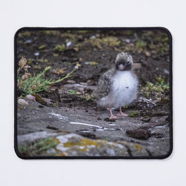 Item preview, Cute  designed and sold by Flyal4.