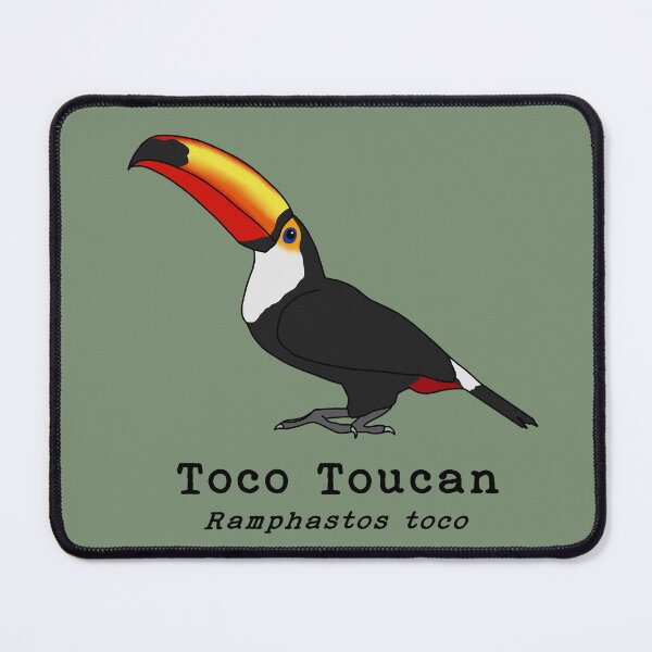 Item preview, Toco Toucan with Scientific Name designed and sold by taylorrowan.