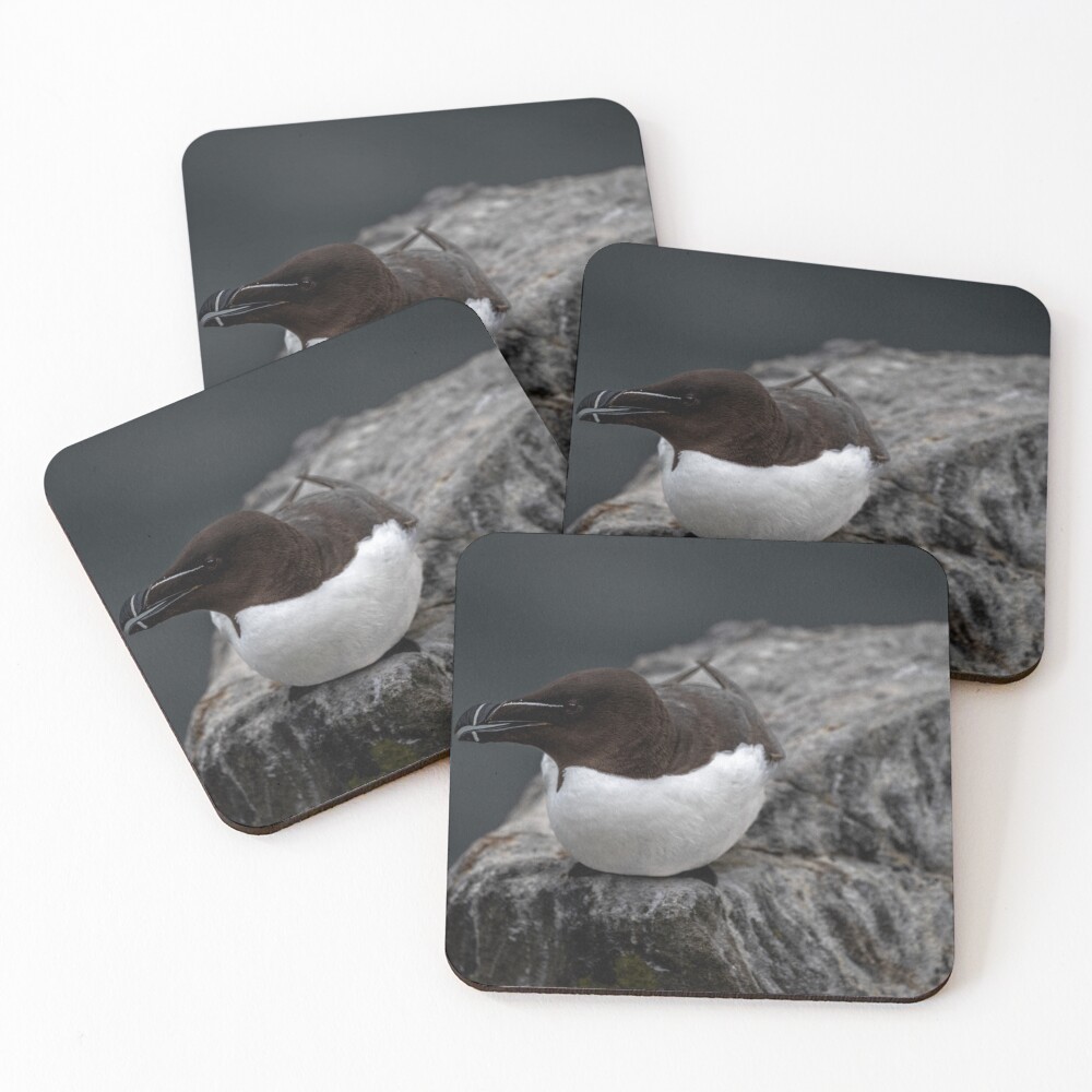 Item preview, Coasters (Set of 4) designed and sold by Flyal4.