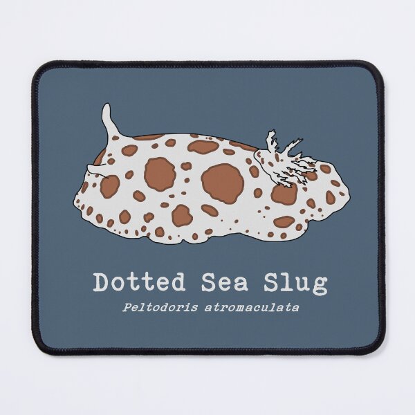 Item preview, Dotted Sea Slug with Scientific Name designed and sold by taylorrowan.