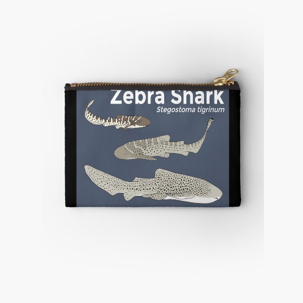 Item preview, Zebra Shark Life Stages designed and sold by taylorrowan.