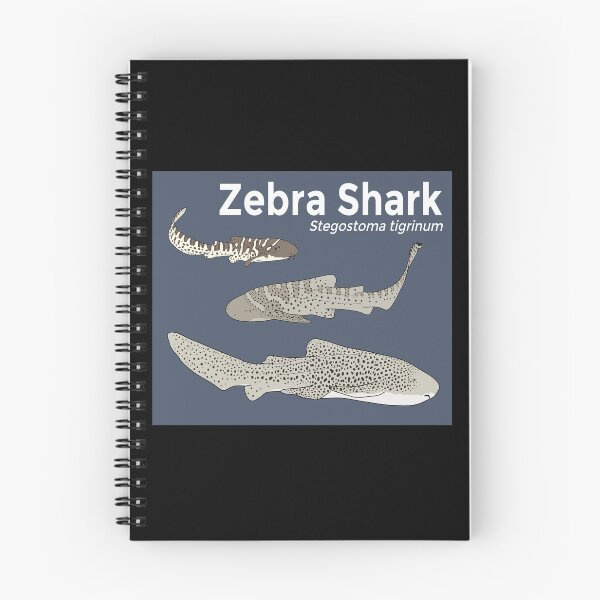 Item preview, Zebra Shark Life Stages designed and sold by taylorrowan.