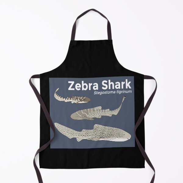 Item preview, Zebra Shark Life Stages designed and sold by taylorrowan.