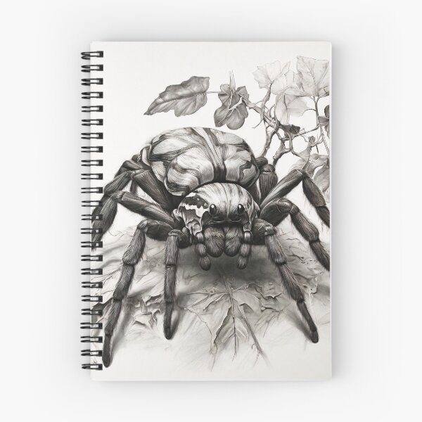 Item preview, Black and white Tarantula pencil drawing designed and sold by Pencil-Art.