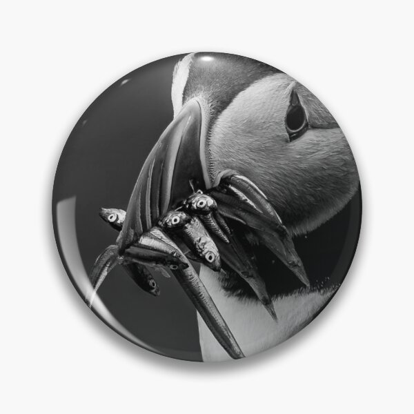 Item preview, Puffin portrait  designed and sold by Flyal4.