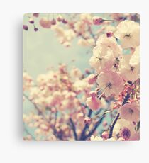 Why Would A Cherry Weep Canvas Print
