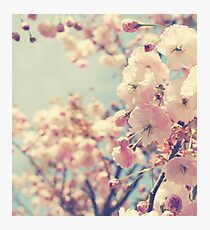 Why Would A Cherry Weep Photographic Print