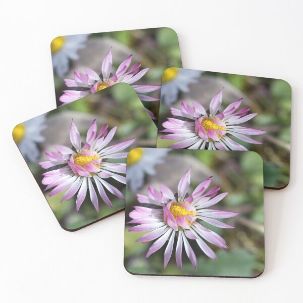 Item preview, I'm a Shy Daisy designed and sold by Kasia Design.
